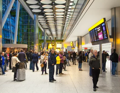 Miniatura: Hakerzy zaatakowali europejskie lotniska....