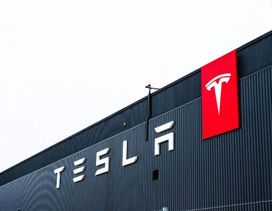 Miniatura: W Europie spadki, a tu boom. Tesla z...