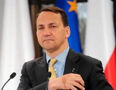 Miniatura: Duda w ogniu krytyki. Sikorski nie gryzł...