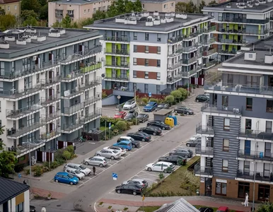 Miniatura: Sprawdź, czy się jeszcze opłaca. Rynek...