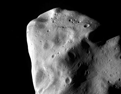 Miniatura: Nie taki trwały, jak myśleliśmy. Pas...