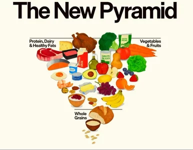 Miniatura: Nowa piramida żywieniowa w USA....