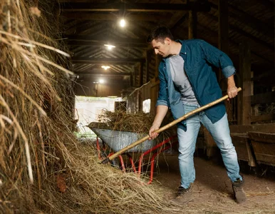 Miniatura: Mniej wypadków w rolnictwie. KRUS:...