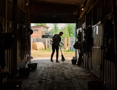 Miniatura: Polacy oburzeni ofertą pracy w Niemczech....