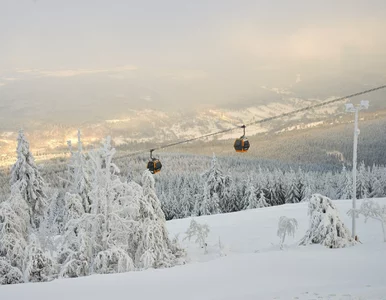 Miniatura: Wymarzony kierunek na ferie dla rodzin....