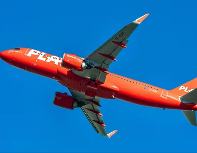 Miniatura: Znana linia lotnicza wraca do Polski....