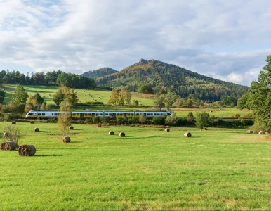 Miniatura: Swobodne podróże pociągiem przez całą...