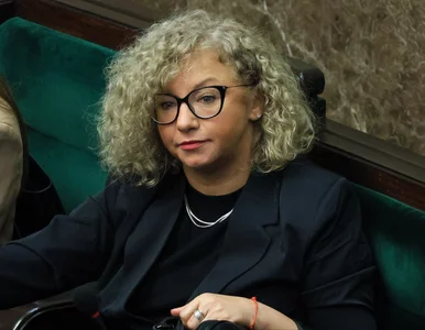 Miniatura: Lewica ustąpiła PSL. Związki partnerskie...