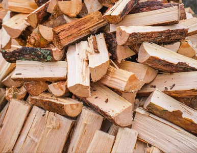 Miniatura: Grzeje jak buk, kosztuje mniej i schnie...