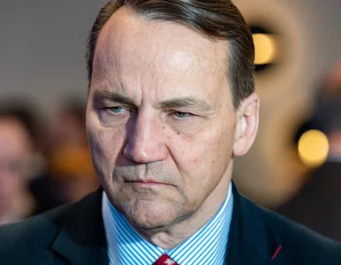 Miniatura: Sikorski z ważnym apelem. „Błagam, nie...