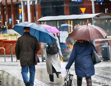 Miniatura: Ulewy i wichury przechodzą przez Polskę....