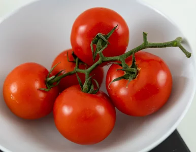 Miniatura: Pomidory malinowe bez „chemii”? Badania...