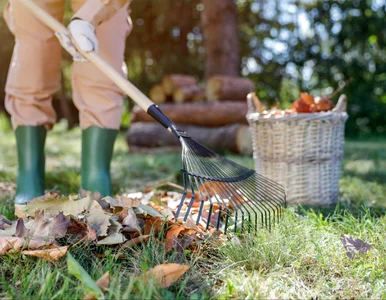 Miniatura: Prosta aktywność fizyczna może dać 10 lat...