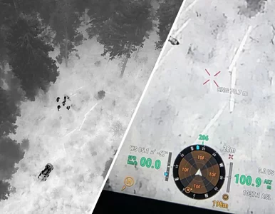 Miniatura: Tragiczna śmierć grzybiarza. „Ciało...