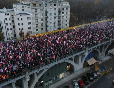Miniatura: Tak Polacy ocenili Marsz Niepodległości....