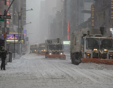 Miniatura: „Snow day” w USA. Takiej sytuacji nie było...
