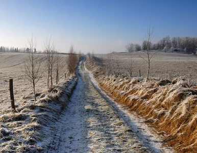 Miniatura: Po raz pierwszy od dłuższego czasu pojawi...