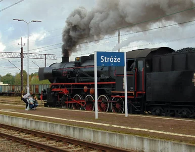 Miniatura: Pociągi retro na bajkowych trasach Polski....