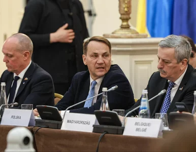 Miniatura: „Żart” Sikorskiego wywołał burzę. Tak...