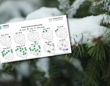 Miniatura: Białe święta pod znakiem zapytania. Nowa...