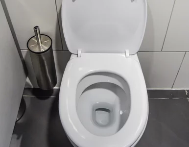 Miniatura: Wlej wieczorem do toalety. Rano kamień...