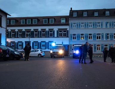 Miniatura: Niepokojące dane z Niemiec. Ujawniono...