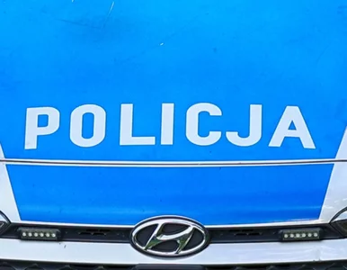 Miniatura: Tajemnicze zaginięcie dziewczyny. Trwają...