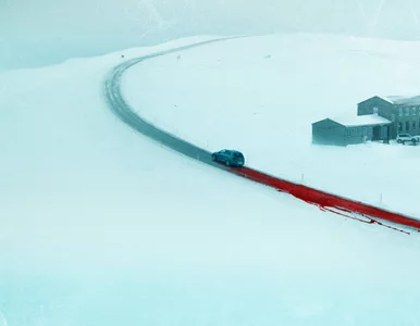 Miniatura: Netflix ma nowego „potwora” – a my wiemy,...