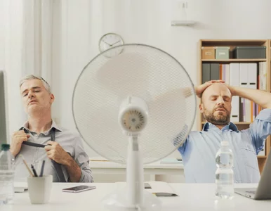 Miniatura: Krótsze godziny pracy podczas upałów?...