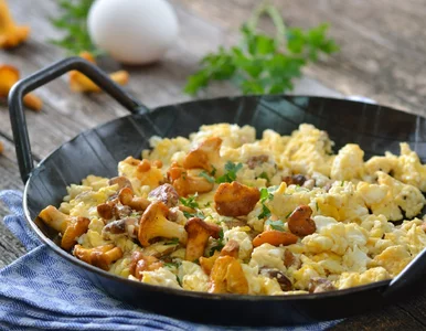 Miniatura: Wysyp kurek w lasach. Dietetycy tłumaczą,...