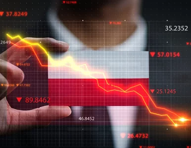 Miniatura: Zagraniczni inwestorzy nie mają łatwo nad...