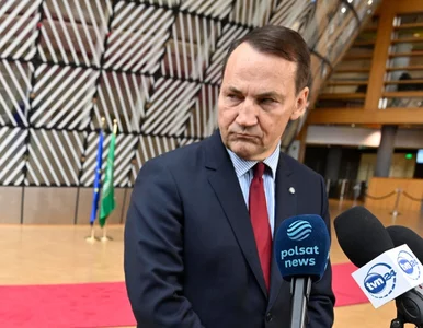 Miniatura: Sikorski o sukcesie Brauna w wyborach. Nie...
