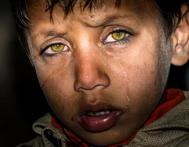 Miniatura: Dzieci trafią do strzeżonych ośrodków....