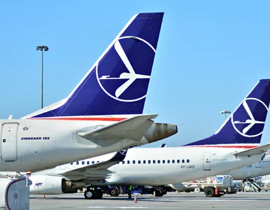 Miniatura: Odwołane loty polskich linii. Tutaj nie...