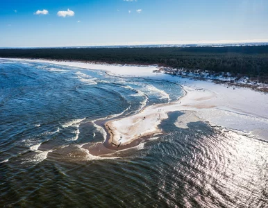 Miniatura: Niecodzienny widok nad Bałtykiem. Nowa...