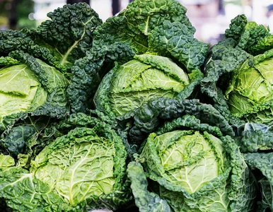 Miniatura: Seniorzy omijają tę kapustę, a to błąd....