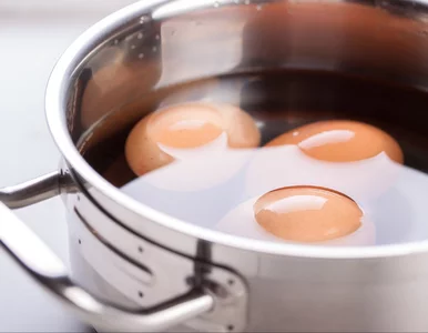 Miniatura: Badacze nie mają wątpliwości: te jajka są...