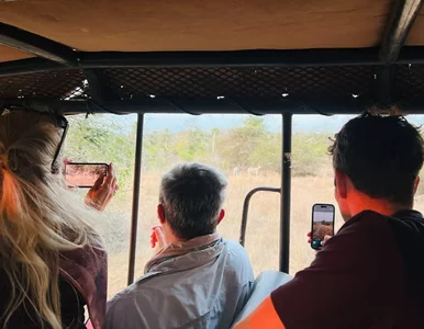 Miniatura: Nieoczywisty kierunek na safari. Wkrótce...