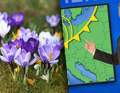 Miniatura: Sensacyjna prognoza pogody. Za rogiem...