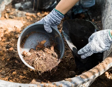 Miniatura: Wrzuć do kompostownika jeden składnik, a...