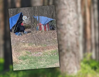 Miniatura: „Koczowisko imigrantów” pod Warszawą?...