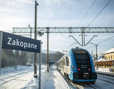 Miniatura: Bilety na Pendolino za 33 zł. Promocje PKP...