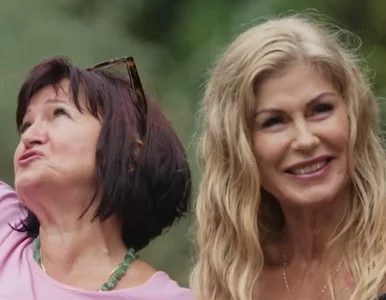 Miniatura: Pytanie o „numerki” w „Sanatorium...