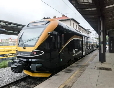 Miniatura: Nowy przewoźnik w Polsce ogłasza konkurs....