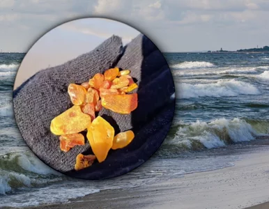 Miniatura: Bałtyk oddał swoje skarby. Polacy ruszyli...