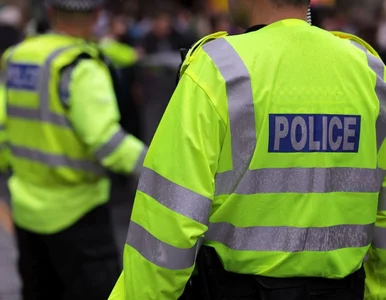 Miniatura: Polacy zatrzymani w Wielkiej Brytanii....