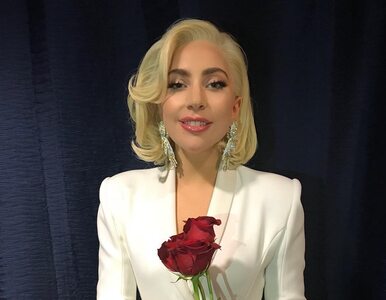Miniatura: Lady Gaga uratowała fotoreportera. Podczas...