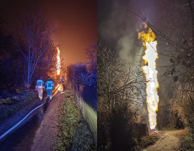 Miniatura: Wyciek gazu w Krakowie. Ogień był widziany...