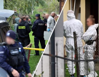 Miniatura: Makabryczne odkrycie policji. Zatrzymano...