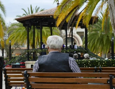 Miniatura: Coraz więcej stulatków w Polsce. W którym...